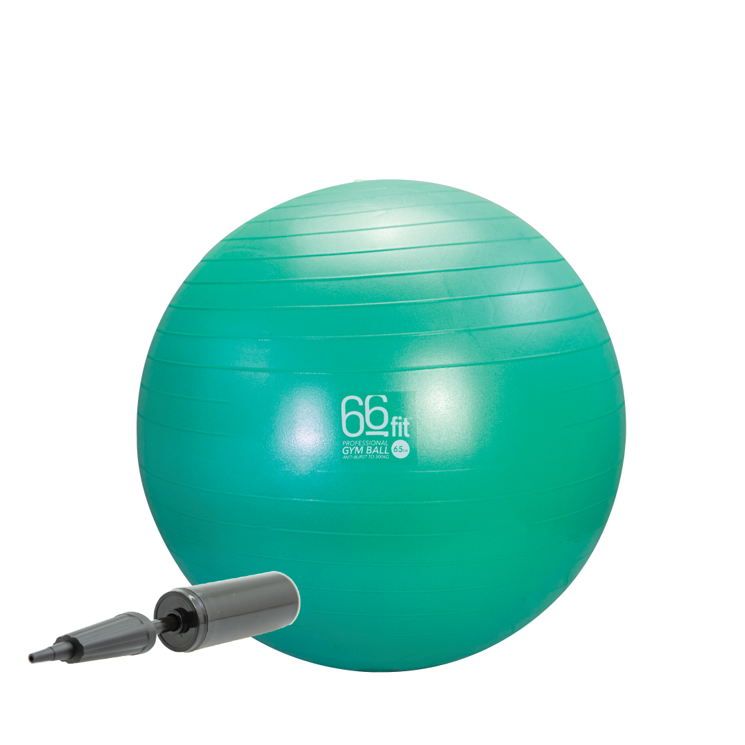 66BALL65 66fit Exercise Gym Balls