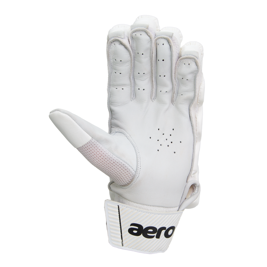 Aero V2 Batting Gloves