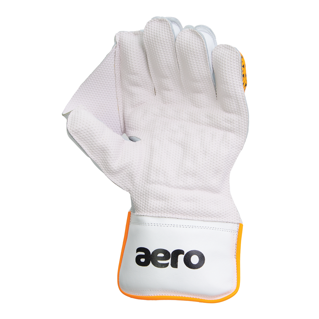 Aero V3 Wicket Keeping Gloves