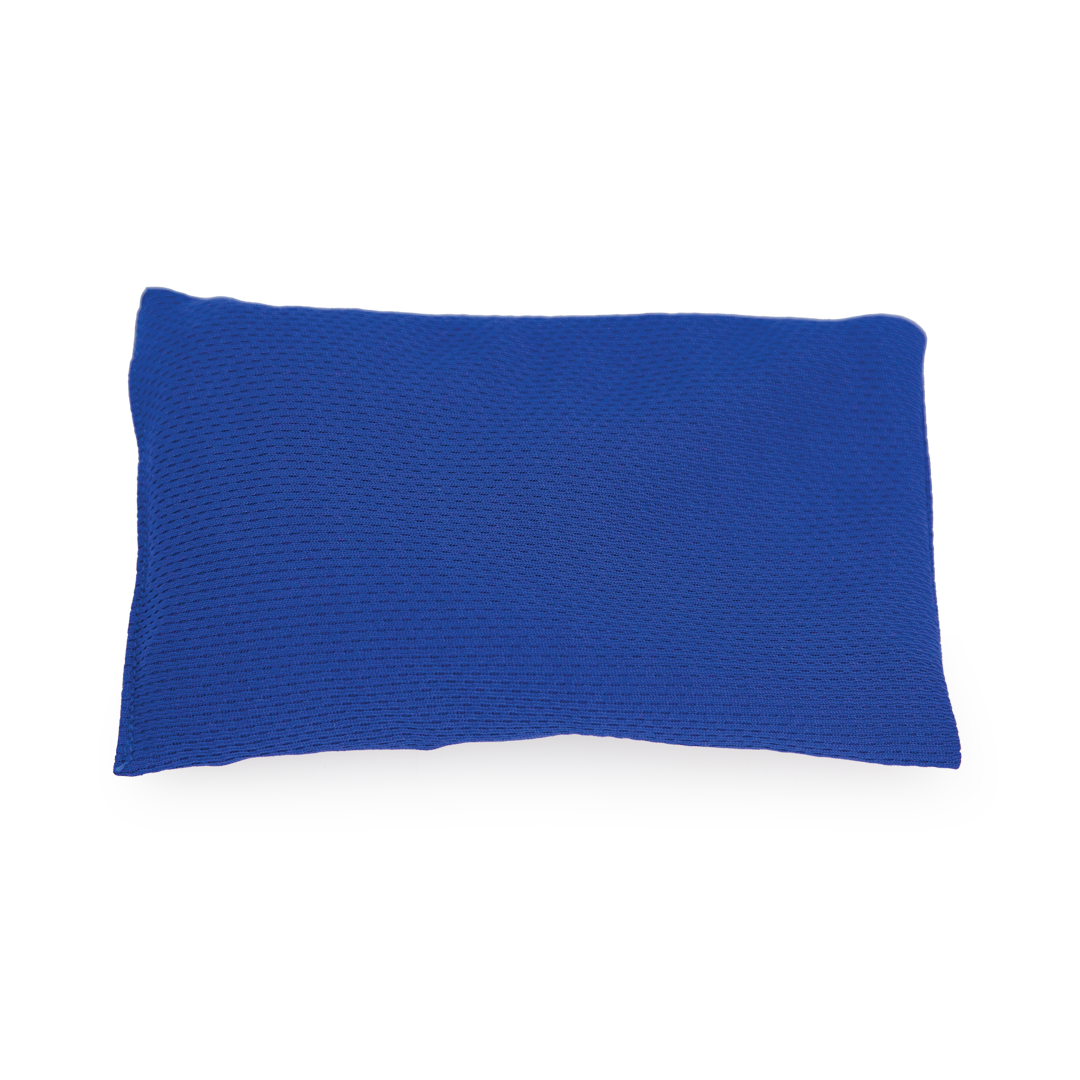 VFGBBBL Victor Bean Bag Blue Back