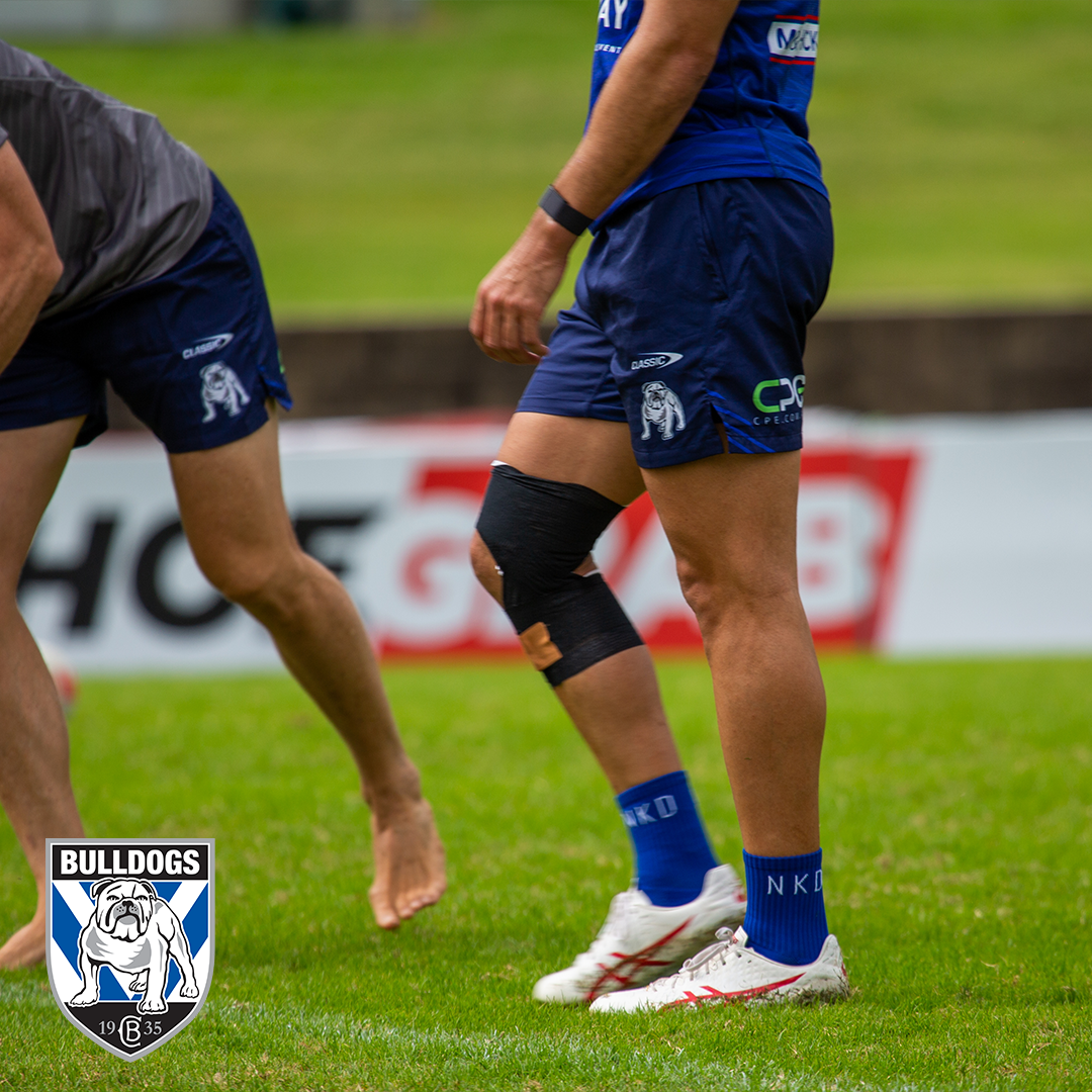 Victor Pro Hand Tearable