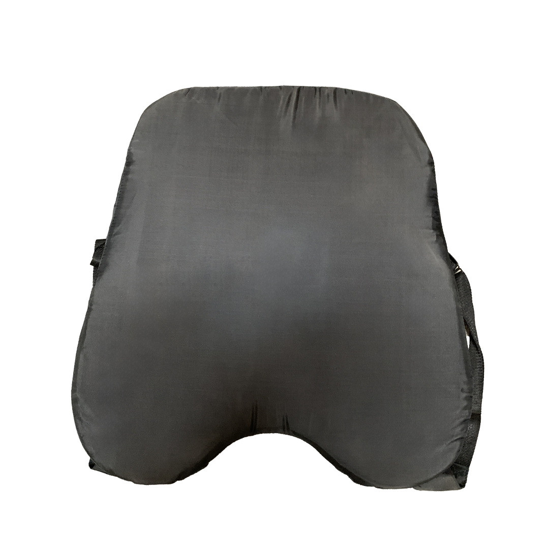 Baseball Bodyguard Umpire