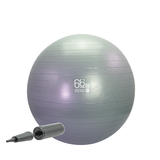 66BALL70 66fit Exercise Gym Balls