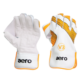 Aero V3 Wicket Keeping Gloves