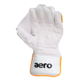 Aero V3 Wicket Keeping Gloves