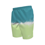 Gradient blue to green shorts with a Nike logo on a white background