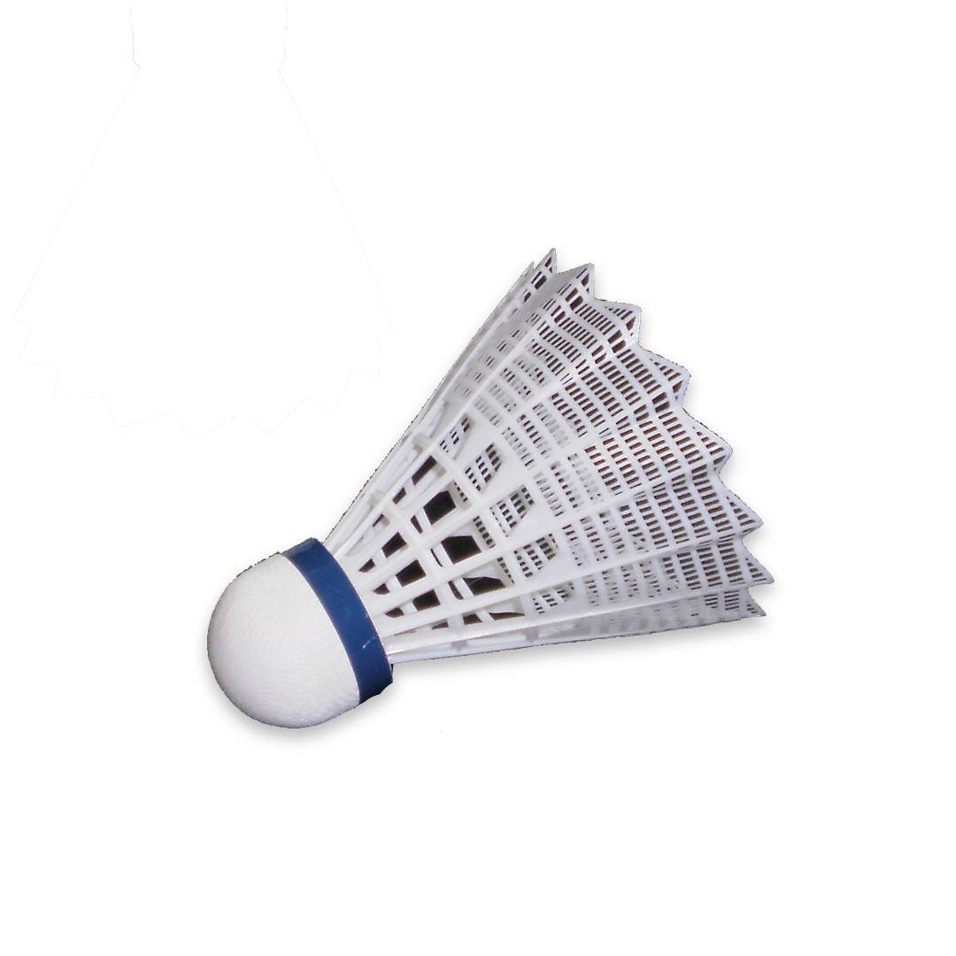VBADST Victor Badminton Shuttles Tournament Blue White Shuttle