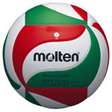 Molten 5000 Leather Volleyball