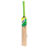 Victor Cricket Bat - Academy