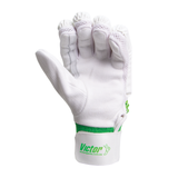 Victor Cricket Batting Gloves Academy