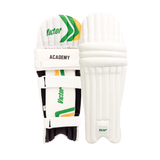 Victor Cricket Batting Pads Academy