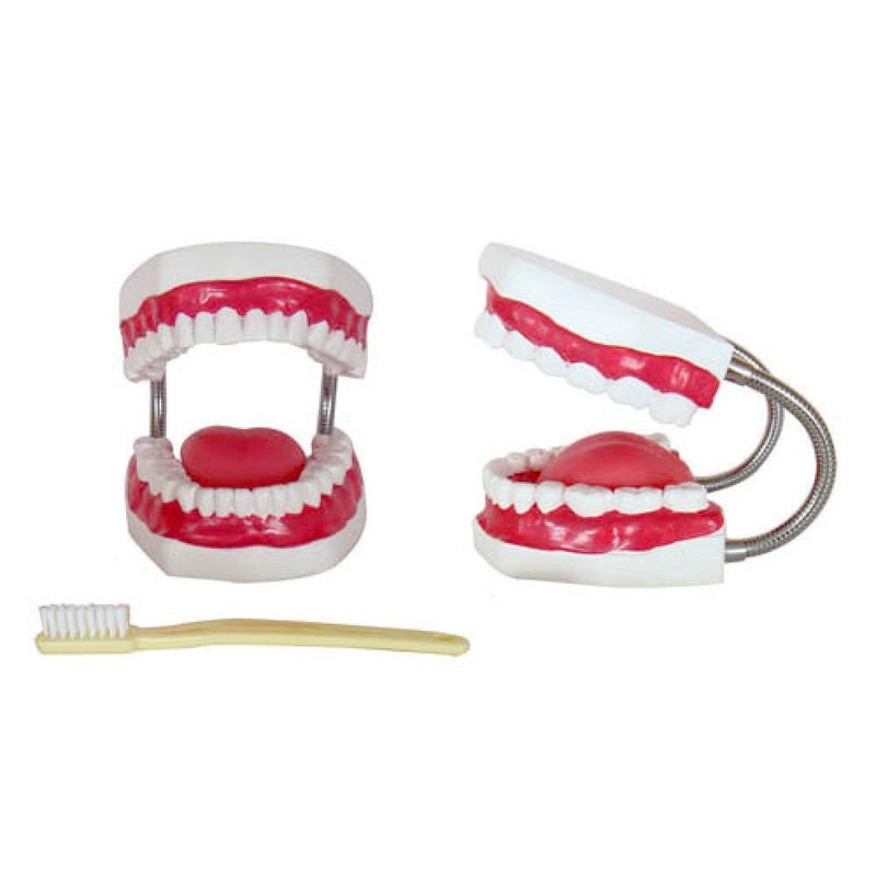 66FIT MOUTH CAVITY WITH TOOTHBRUSH